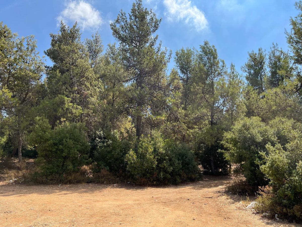Oak Farm مزرعة الملّول Pension ‘Ajlūn Buitenkant foto
