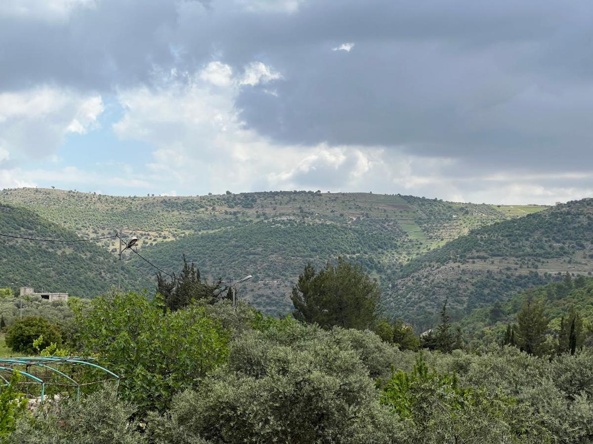 Oak Farm مزرعة الملّول Pension ‘Ajlūn Buitenkant foto